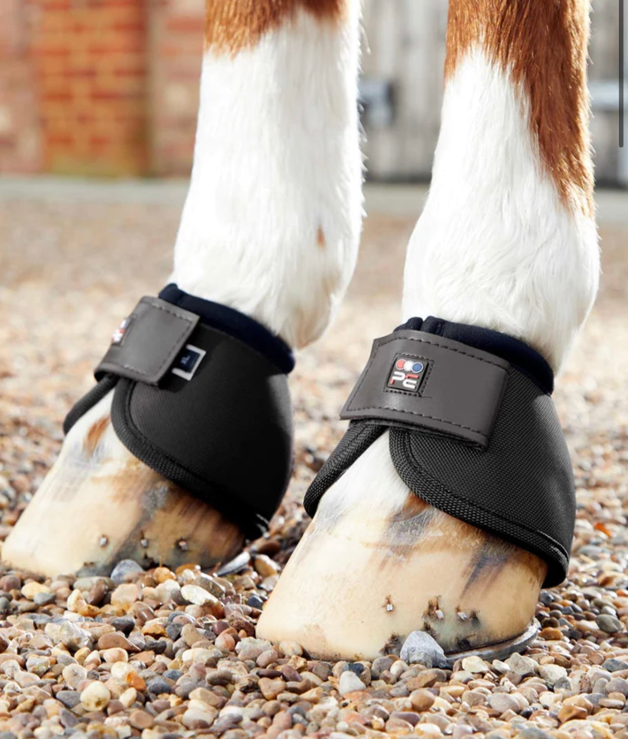 Premier Equine Ballistic No-Turn Over Reach Boots