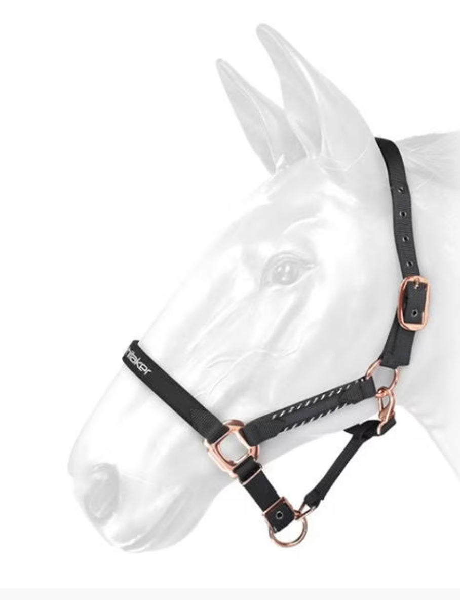 Whitaker Bradshaw Headcollar