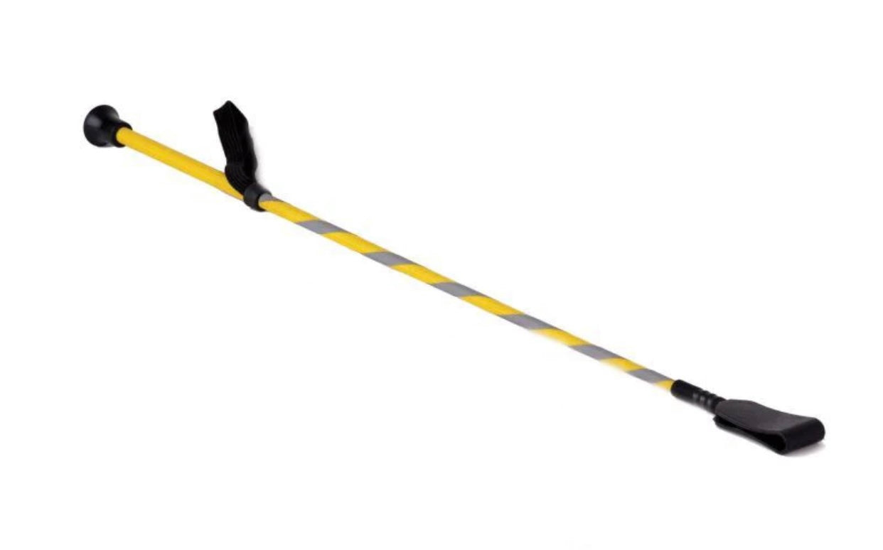 Harlequin Reflective Riding Crop