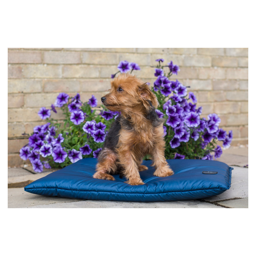 Cameo Storm Waterproof Dog Bed