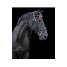 Eco Rider Acclaim Bridle ECO 602
