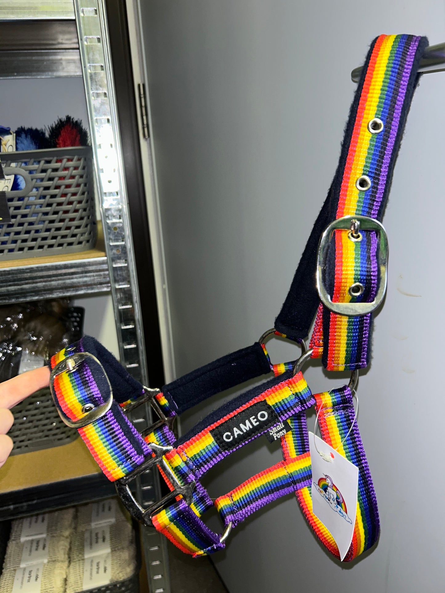 Rainbow Headcollar
