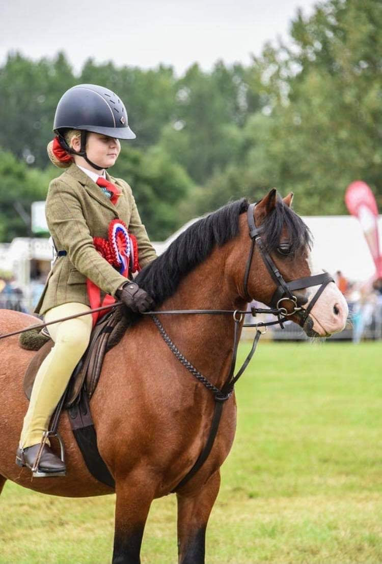 FCS Fiona Cork Showing Plaited Running Martingale
