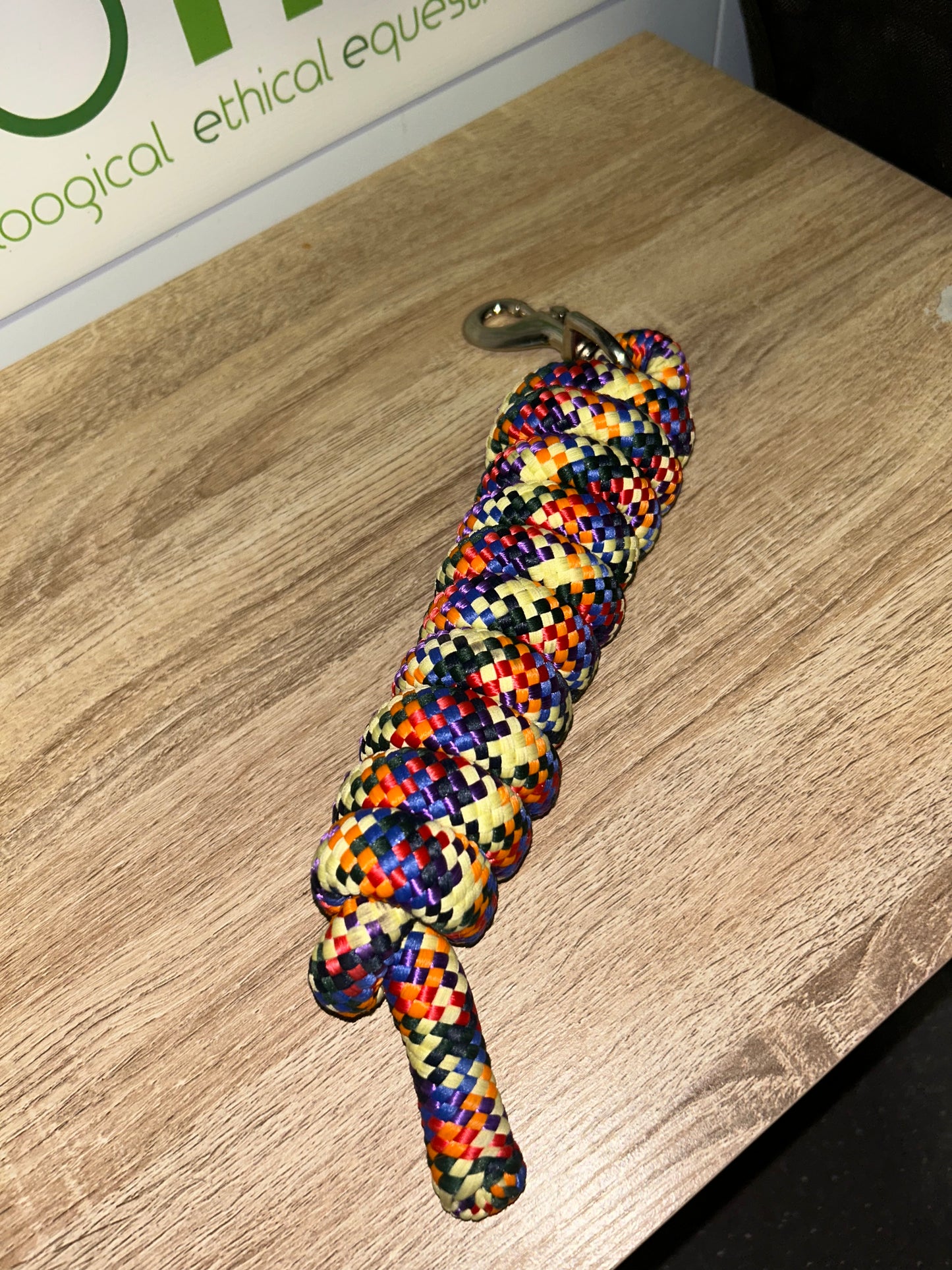Rainbow Headcollar