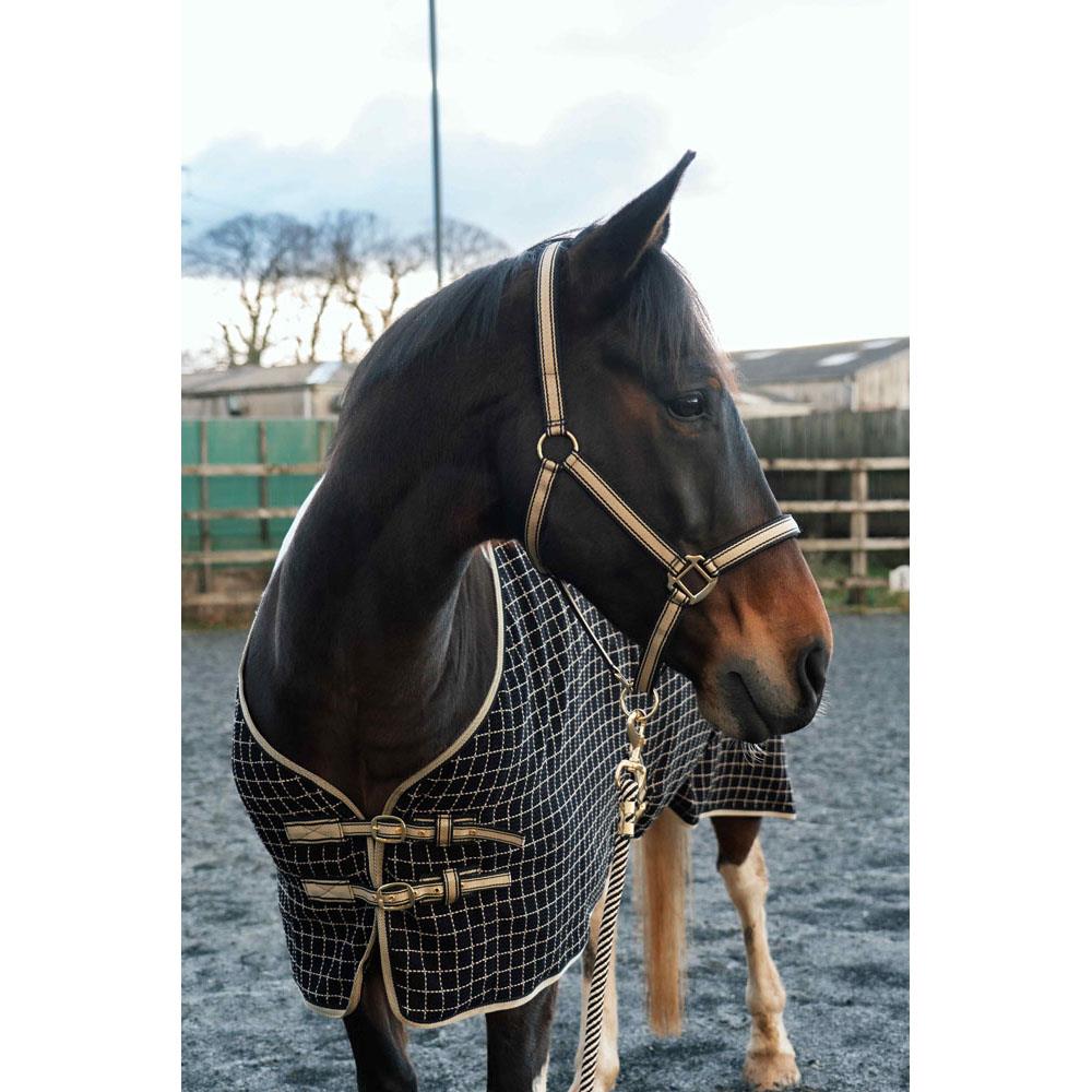 Cameo Core Headcollar & Rope