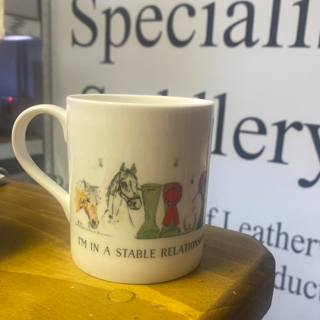 “I’m in a stable relationship” cup