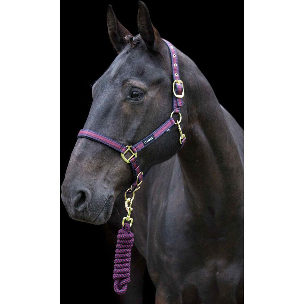 Cameo Core Headcollar & Rope