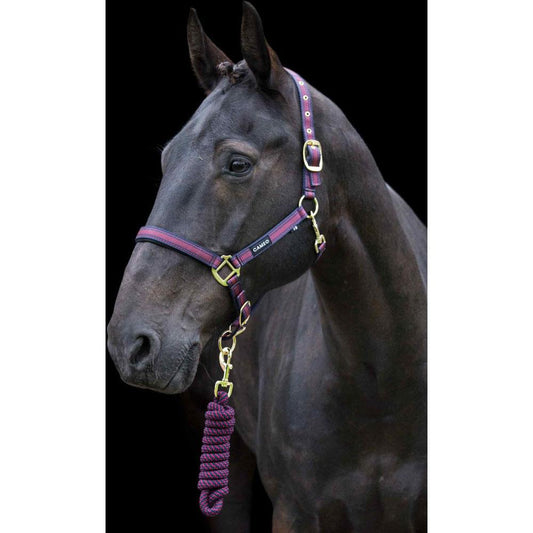 Cameo Core Headcollar & Rope