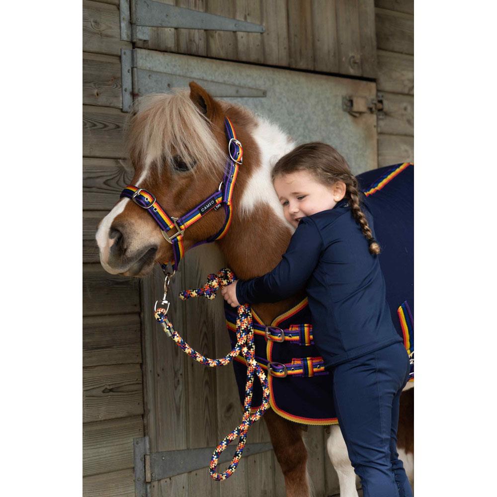 Rainbow Headcollar