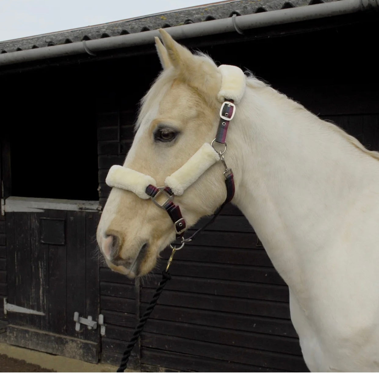 Rinegold Fur Trimmed Headcollar