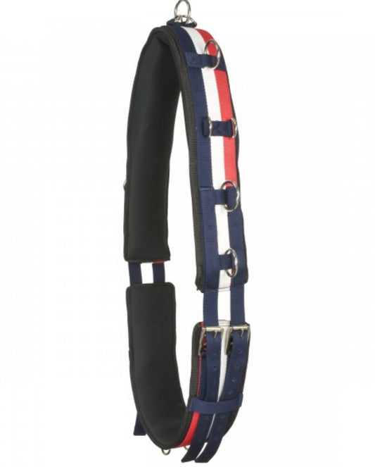 Whitaker lunge roller