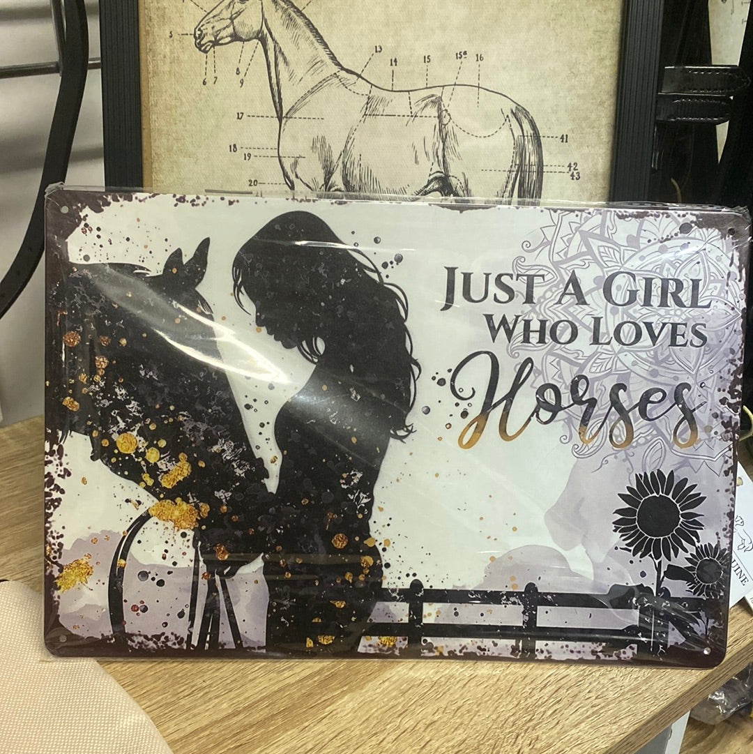 “Just a girl who loves horses” plaque ￼