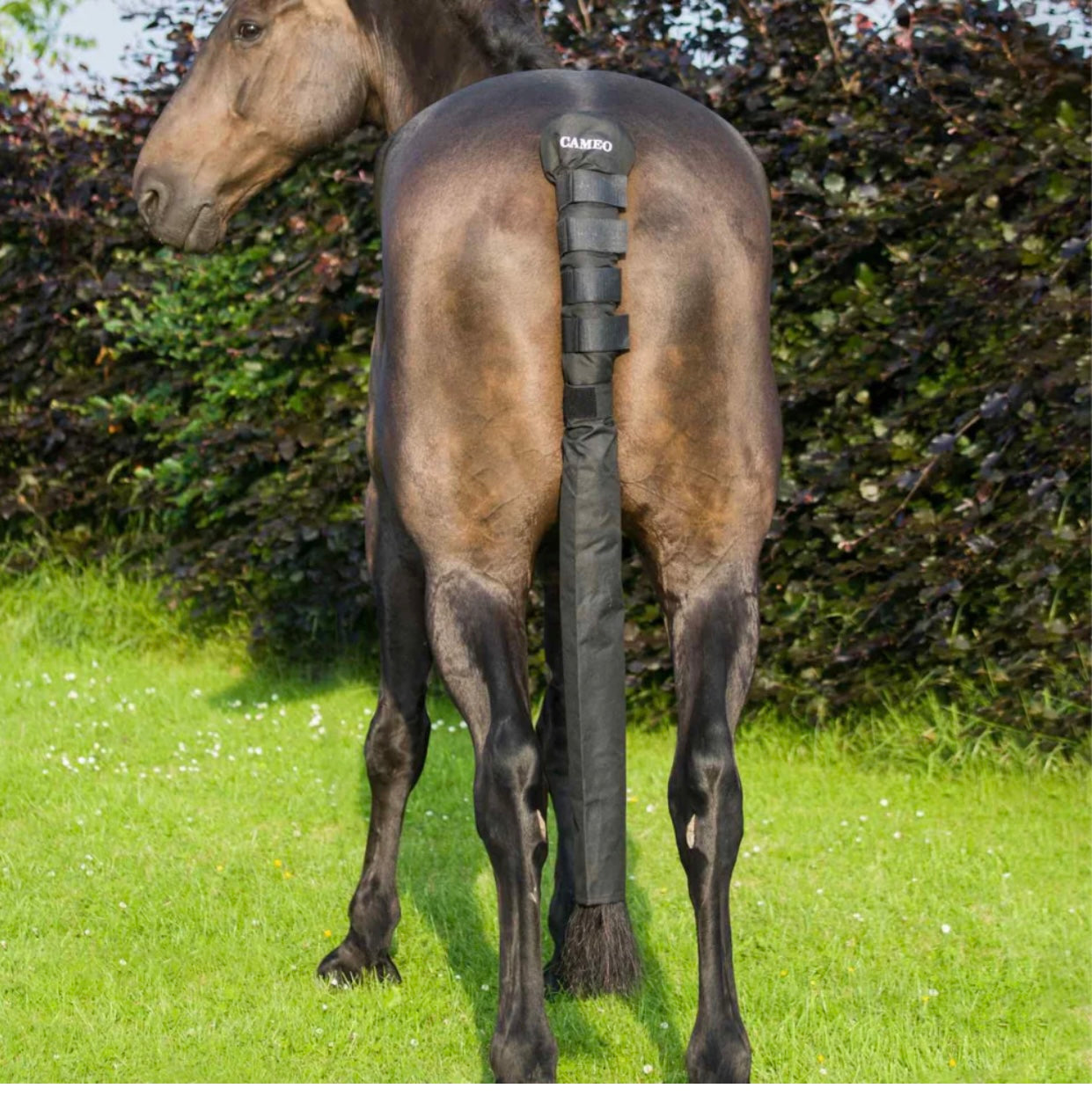 Cameo Tail Guard And Bag Black