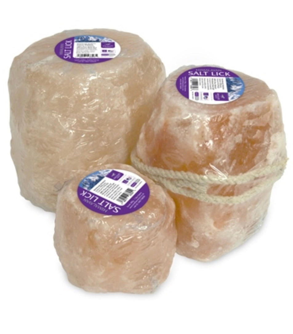 Himalayan salt lick