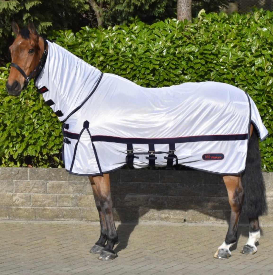 Whitaker Rastrick Combo Fly Rug