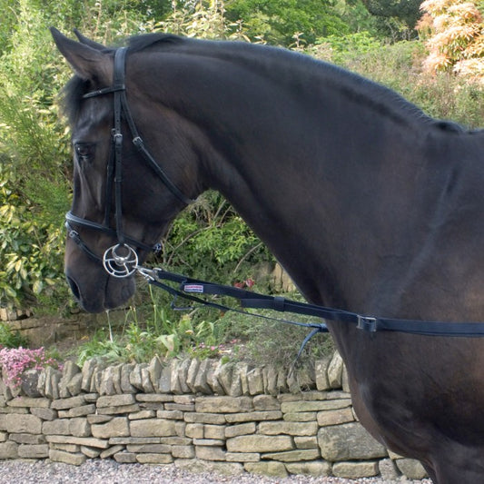 WHITAKER ASR - ELASTICATED SIDE REIN
