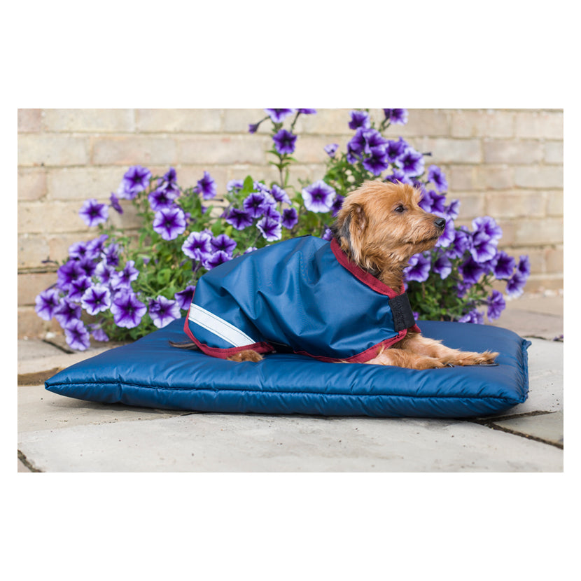 Cameo Storm Waterproof Dog Bed
