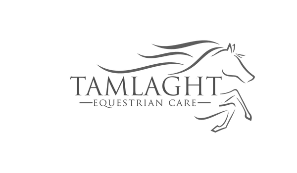 Tamlaght Equestrian Care