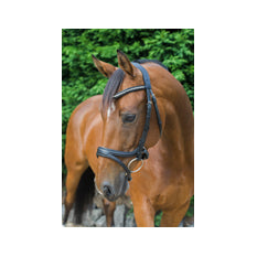 Eco Rider Acclaim Bridle ECO 602