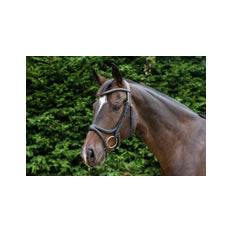 Eco Rider Acclaim Bridle ECO 602