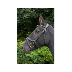 Eco Rider Acclaim Bridle ECO 602