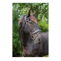 Eco Rider Ultra Comfort Tullamore Bridle ECO 905