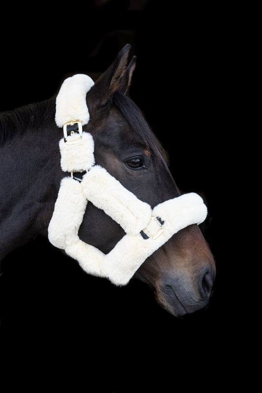 EcoRider Supreme Headcollar