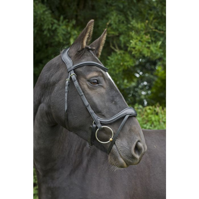 Eco Rider Enigma Bridle ECO 601