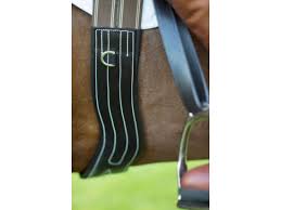 Eco Rider Freedom Girth